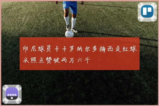 印尼球员卡卡罗纳尔多梅西走红球衣照点赞破两万六千